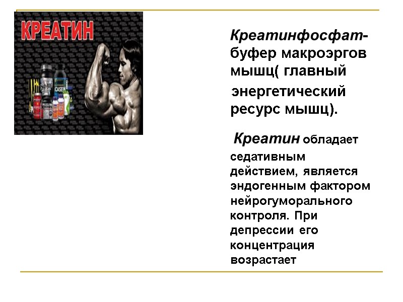 Креатинфосфат- буфер макроэргов мышц( главный      энергетический ресурс мышц). 